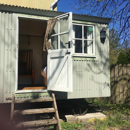 Falstone Posh Huts Farmstay מראה חיצוני תמונה