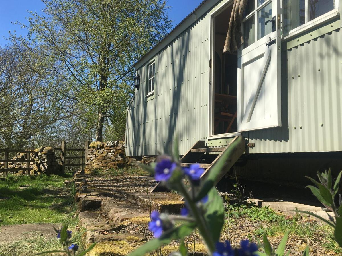 Falstone Posh Huts Farmstay מראה חיצוני תמונה