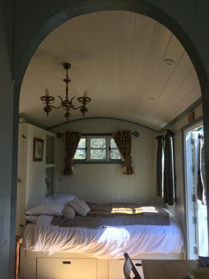 Falstone Posh Huts Farmstay מראה חיצוני תמונה